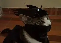 Mi gato ya está preparado para Halloween