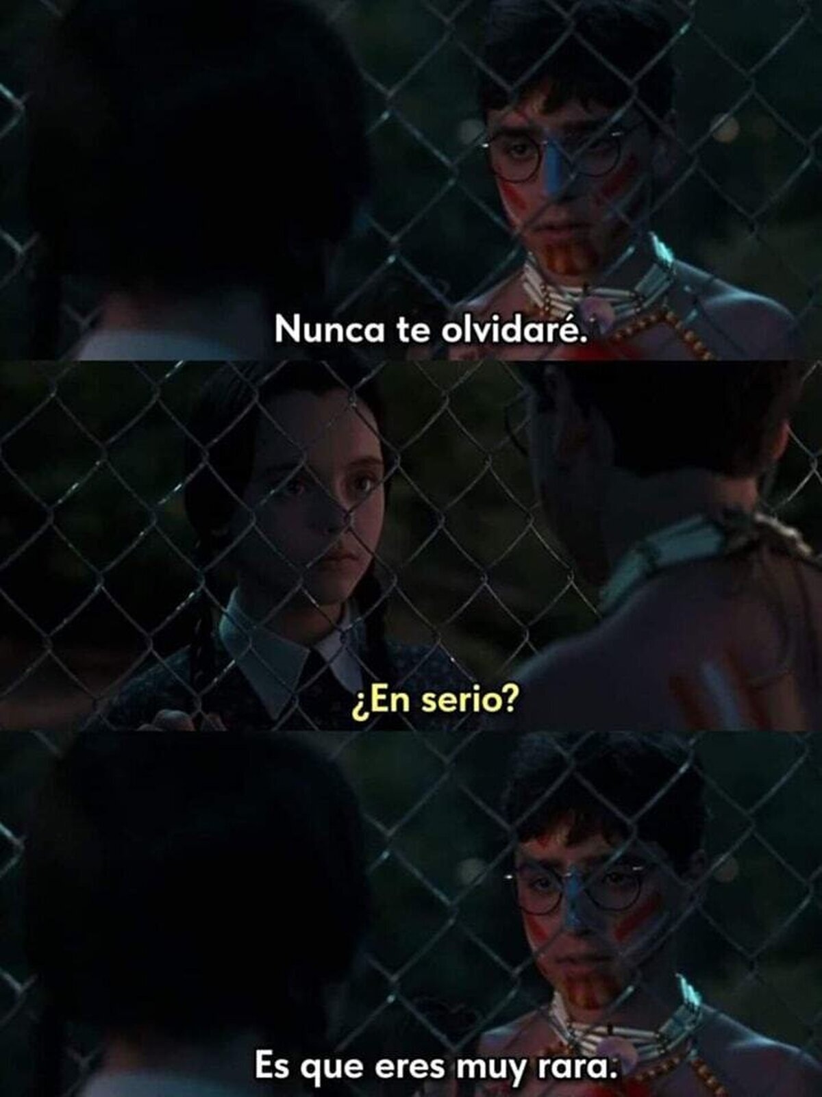Eres rara, me gusta.