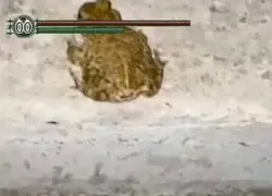Este sería mi pacto favorito