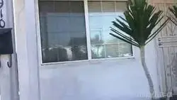 Los actores de voz de Franklin y Lamar recrean su mítica escena en la vida real
