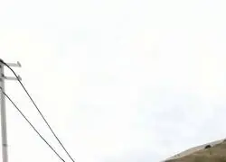 Así es como veía NFS en los años 2000
