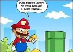 El hongo que lo originó todo