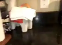 El live action más esperado