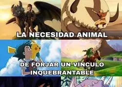 Amantes de la fauna