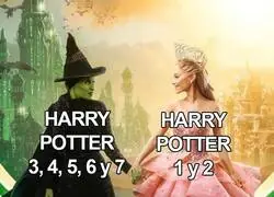 Resumen de la saga Harry Potter en una imagen.