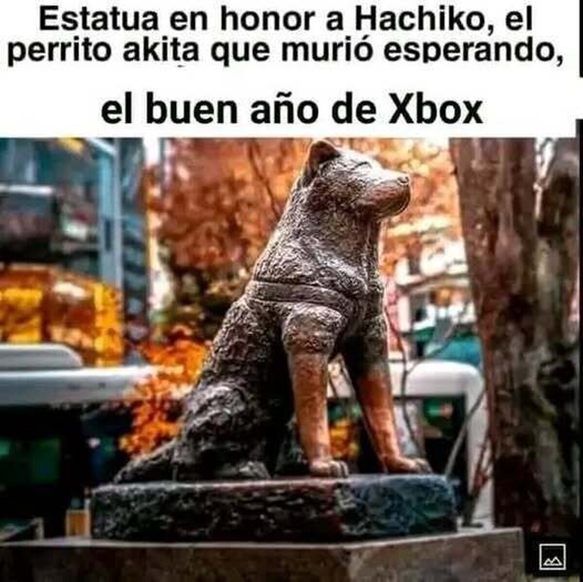 Seguro que 2025 sí