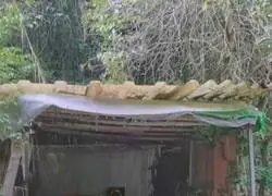 Sólo lo necesario