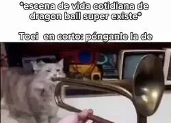 Un temazo, la verdad