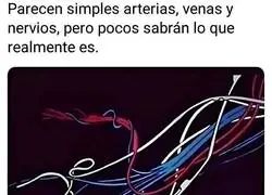 El mejor opening de todos