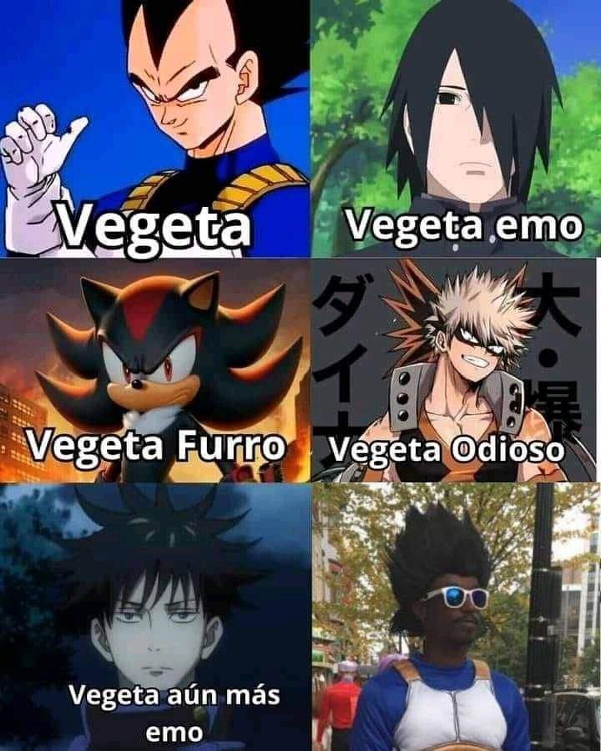 Los rostros de Vegeta
