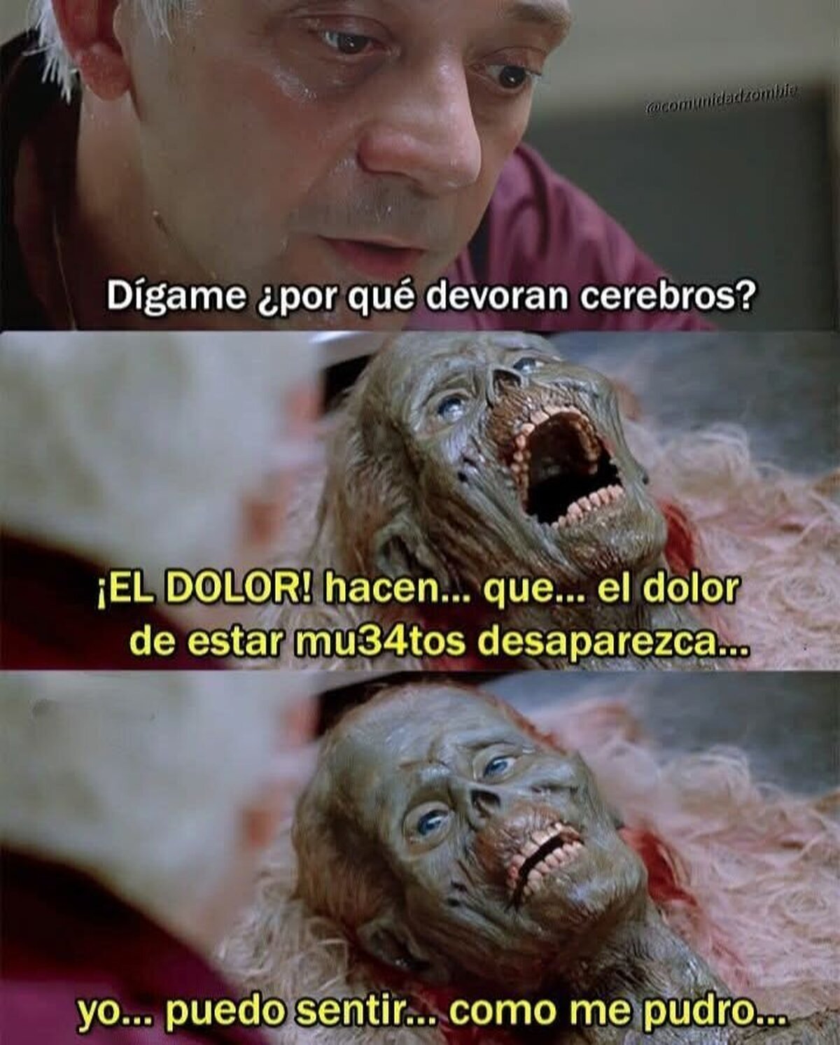 No pensé sentir tanta empatía por un zombie