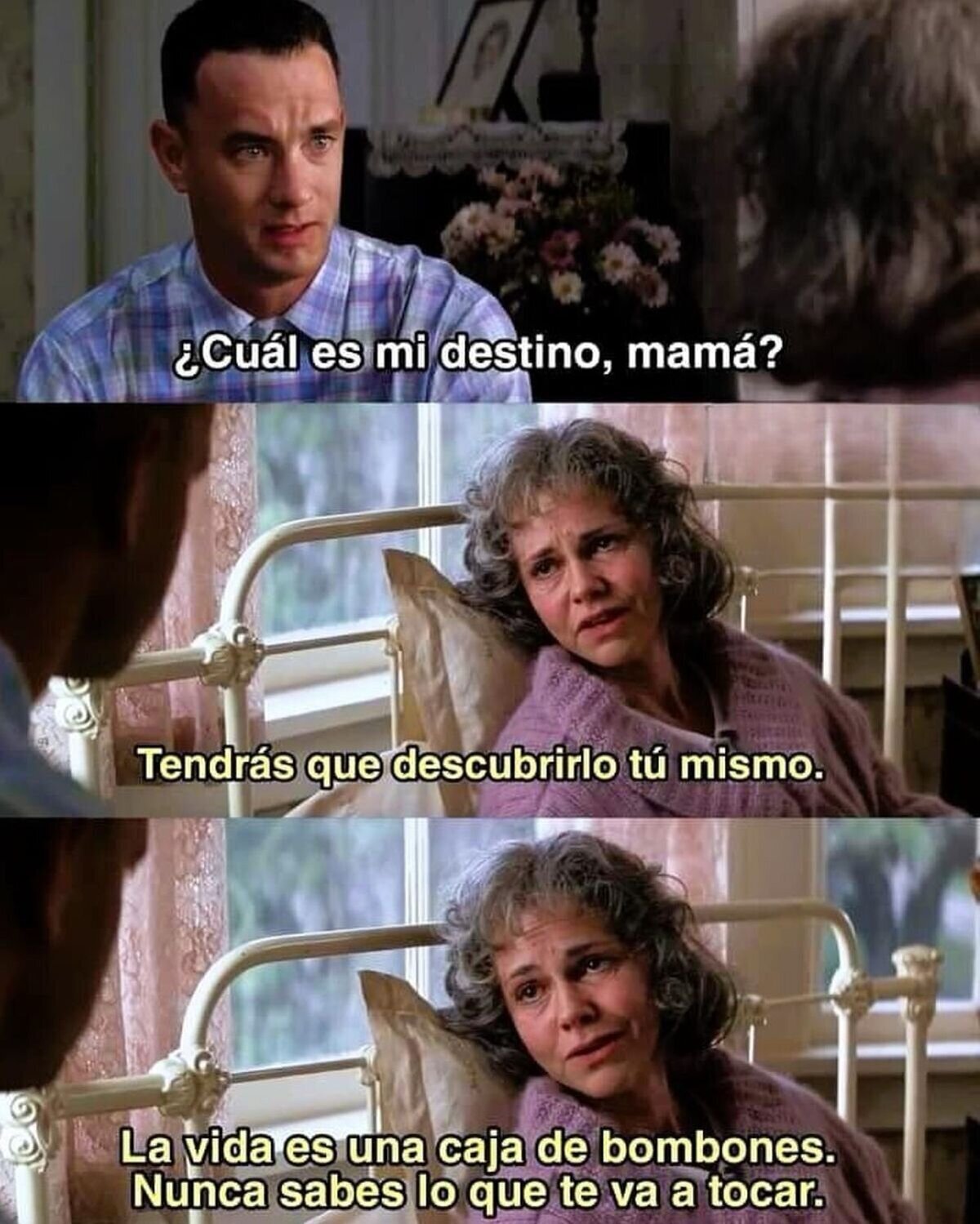 La vida es una caja de chocolates