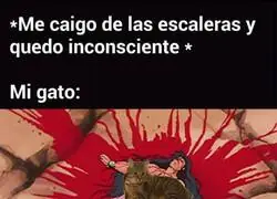No tengo dudas de que lo haría