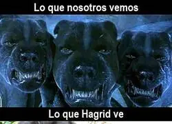 El 'cerberito' de Hagrid