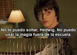 Mejor dí que no quieres, Harry