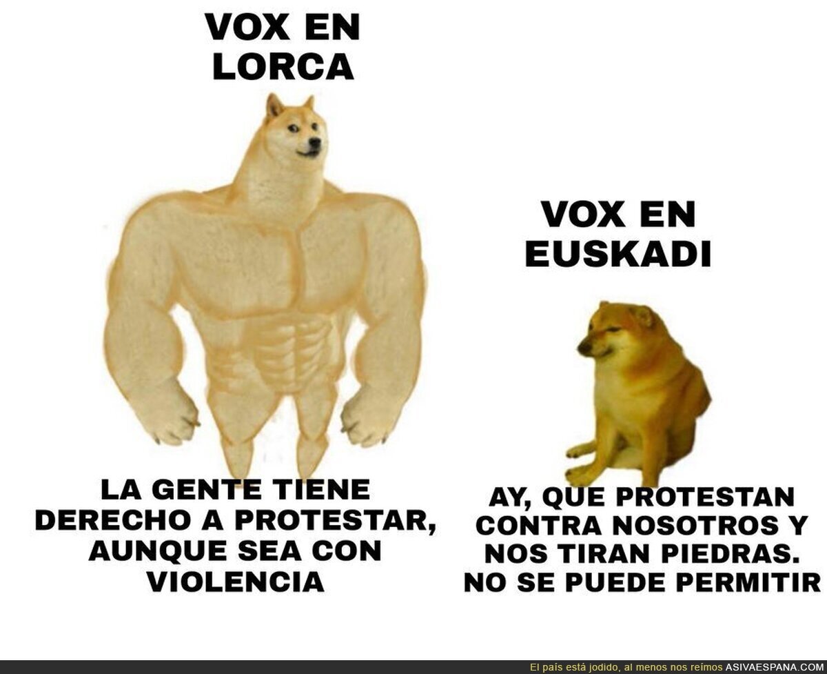 Simplemente VOX