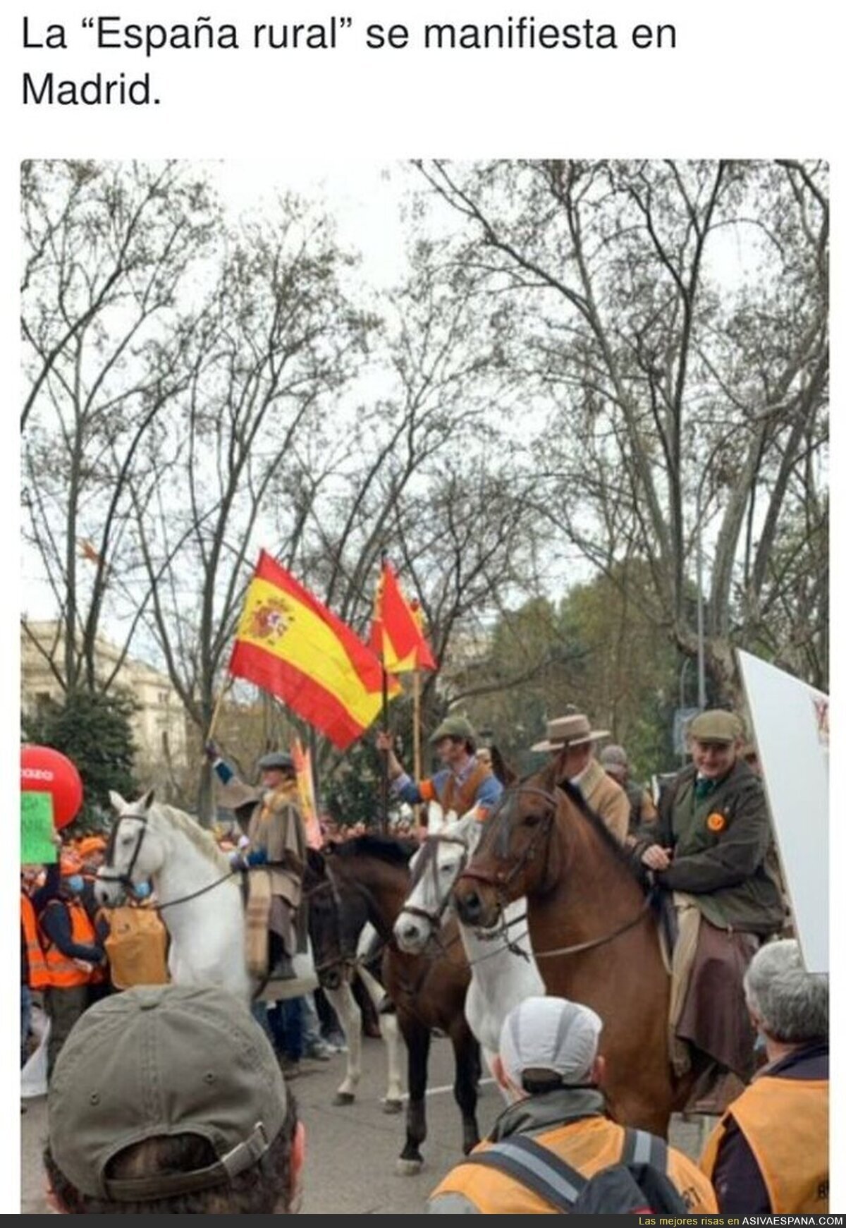 Los señoritos del campo se cuelan en la manifestación del campo