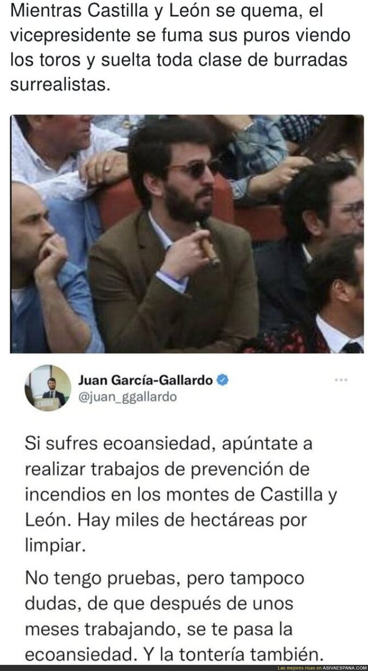 Enhorabuena a la gente que votó a este personaje en Castilla y León