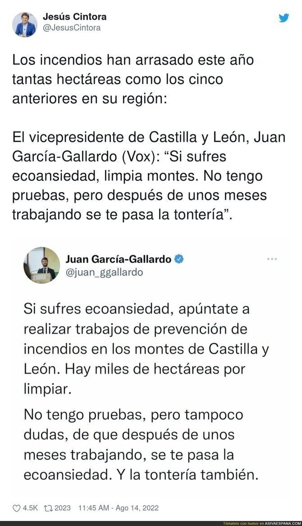 Este es el nivel de VOX