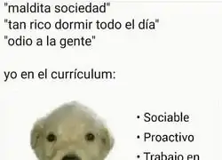 Adornando el curriculum