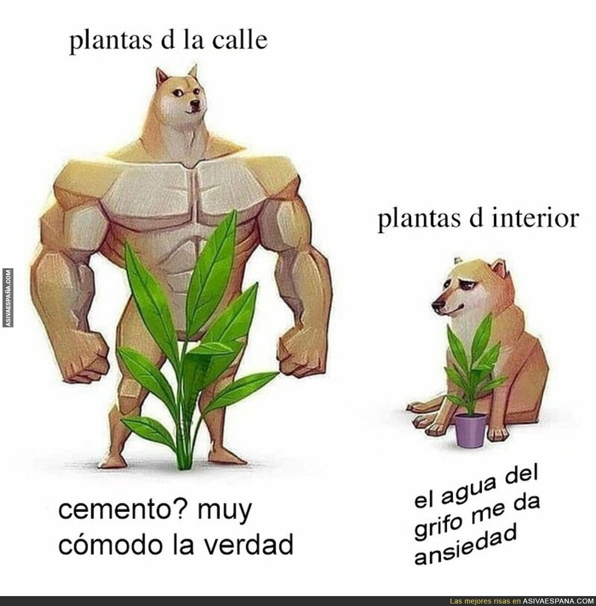 La lógica de las plantas