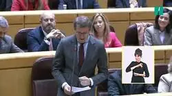 Feijóo diciendo que dónde están los diputados de Podemos... en el Senado