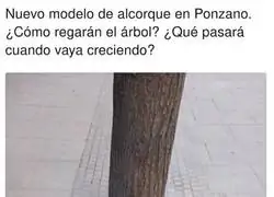 Esto solo pasa en España