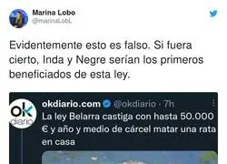 La nueva Ley Belarra a la que tienen miedo en okdiario