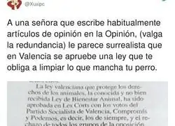 La opinión surrealista de esta señora que no ve bien limpiar la caca de su perro