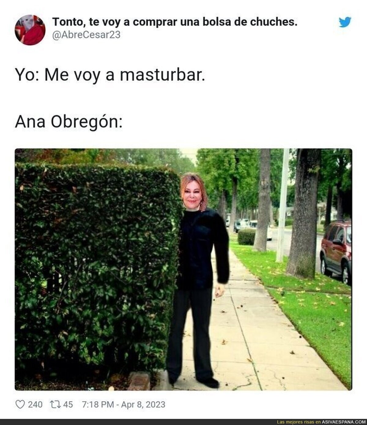 Es perturbadora la imagen que tiene ahora mismo Ana Obregón