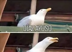 Lo que todos saben de Ayuso