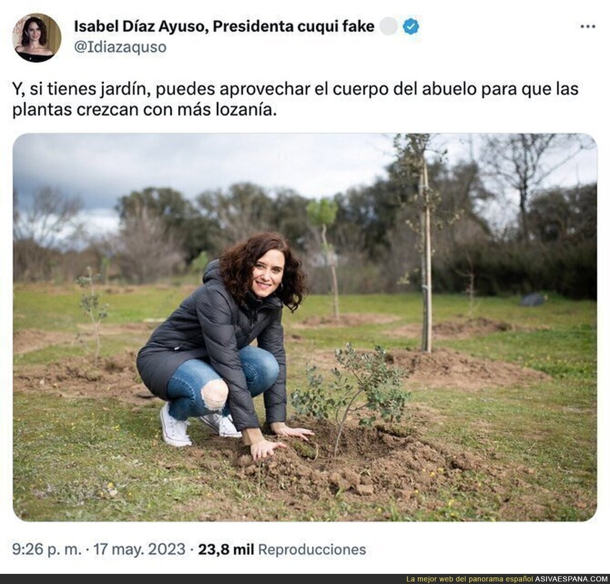 Matando dos pájaros de un tiro, por @Idiazaquso