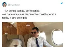 Lección de Perro Sanxe