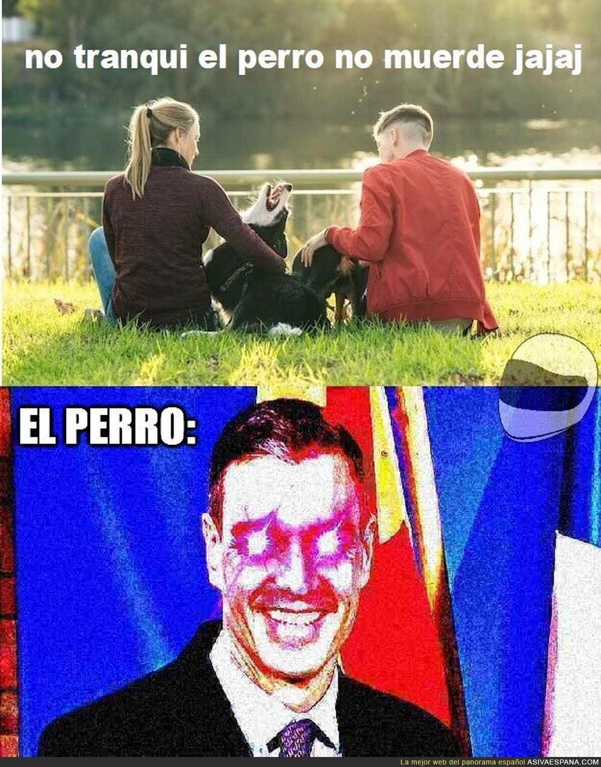 Perro Sanxe