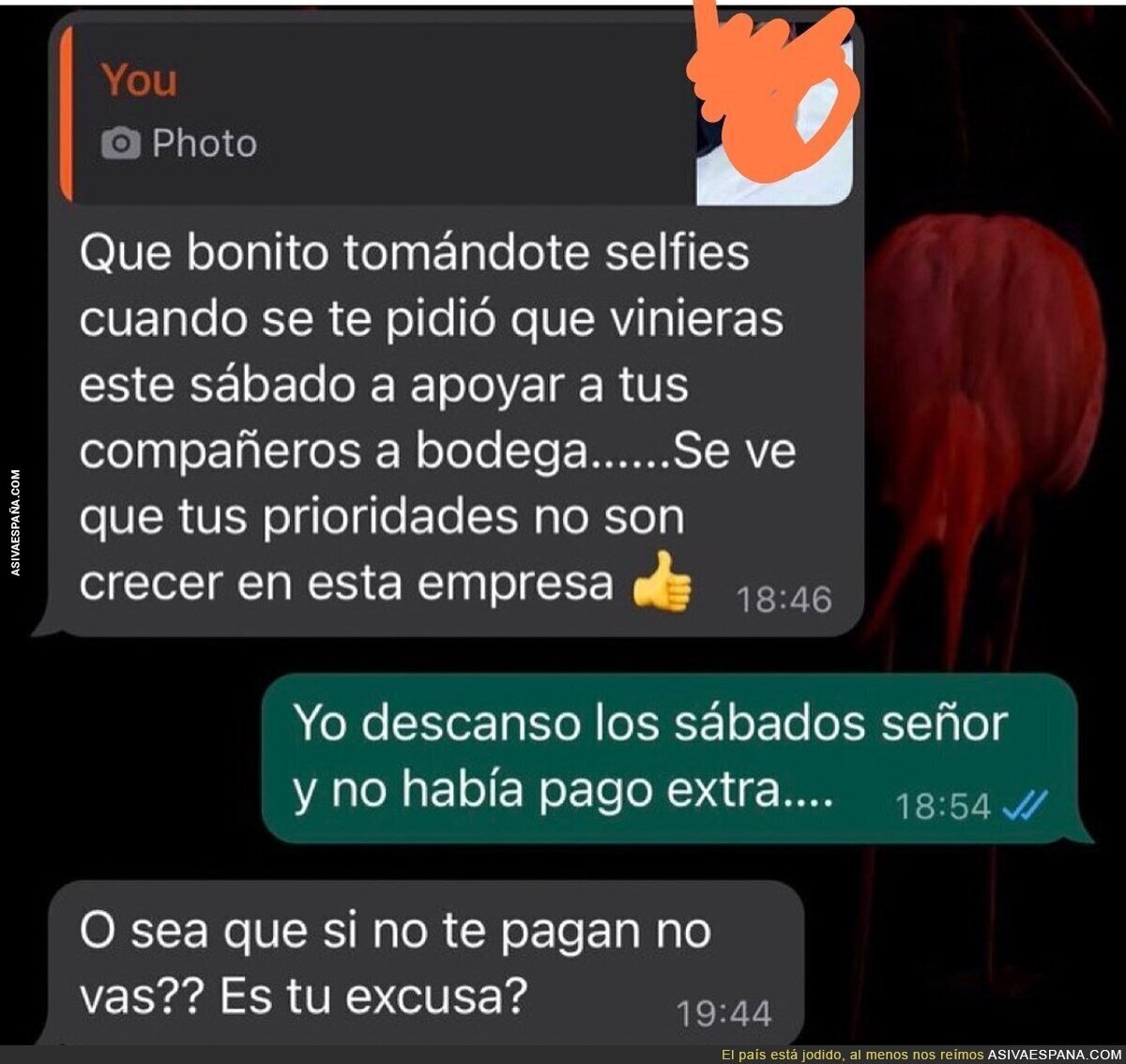 "O sea que si no te pagan no vas?? Es tu excusa??"