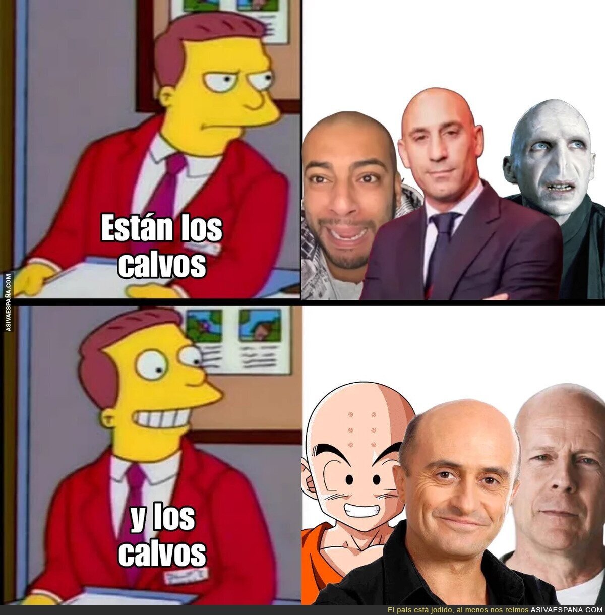 Los calvos queridos