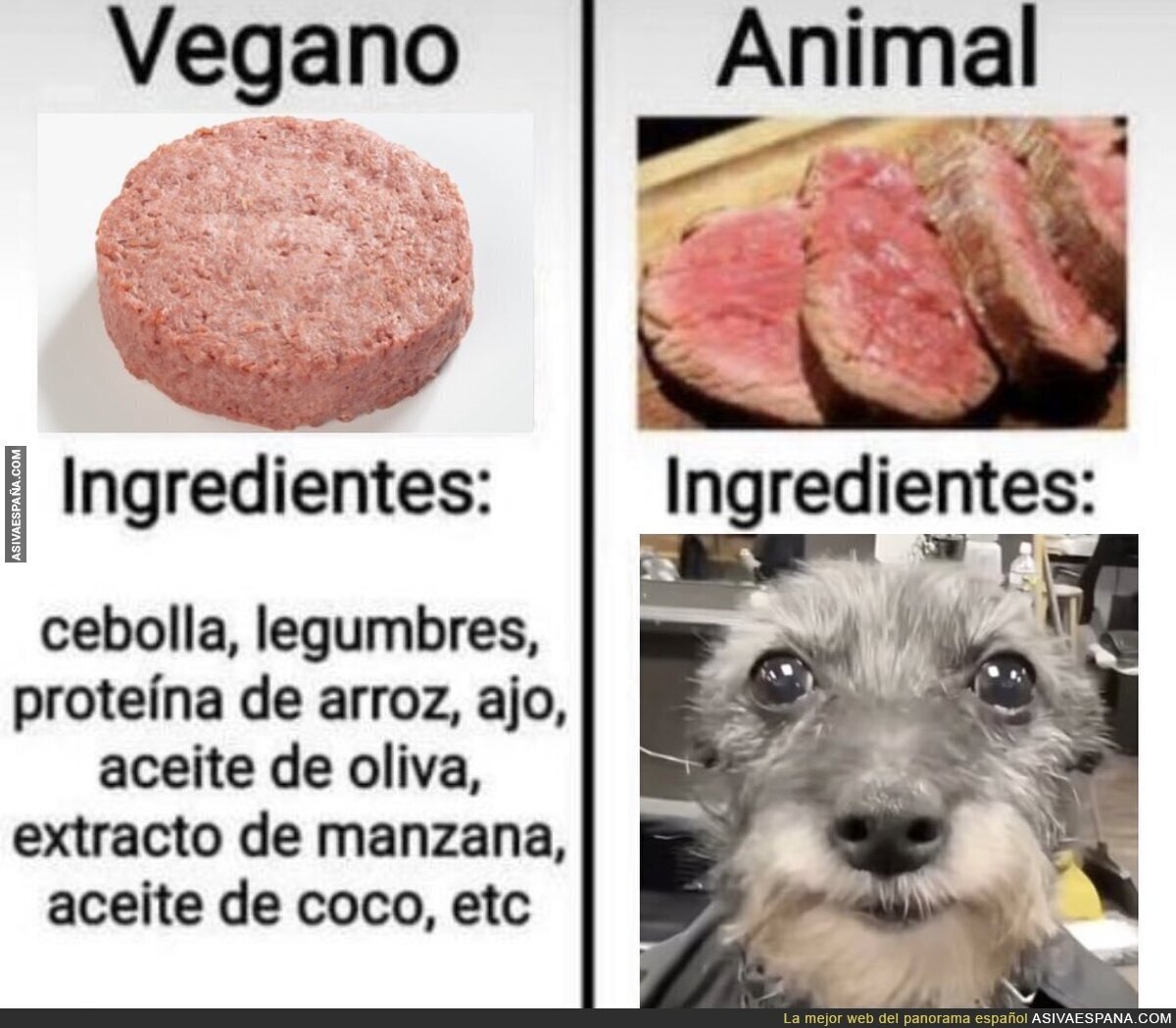 Diferentes animales