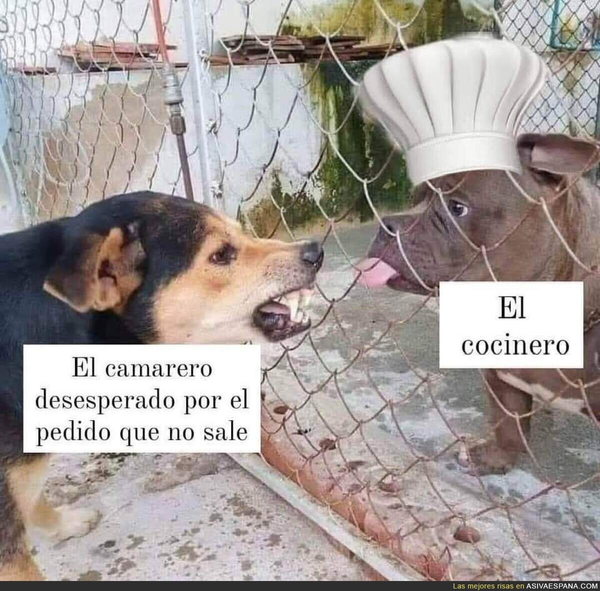 Los cocineros van a su bola