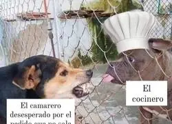 Los cocineros van a su bola