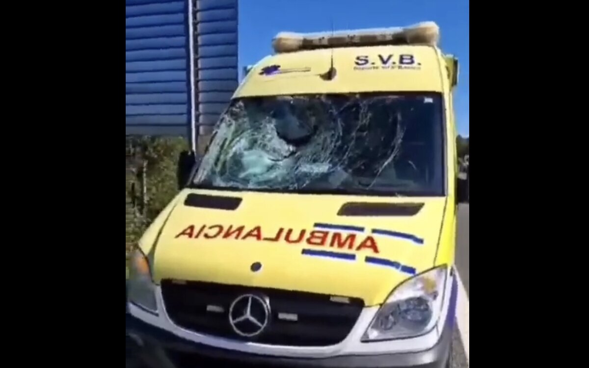 Un buitre rompe y atraviesa la luna de una ambulancia en plena autovía