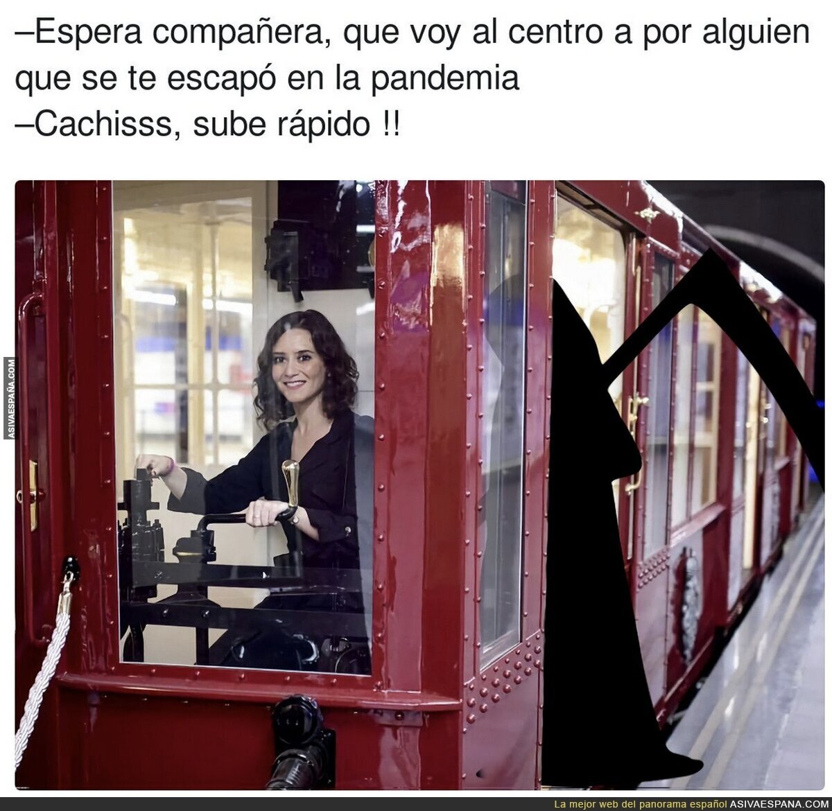 Compañero de viajes