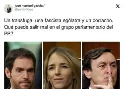 Menuda fauna hay en el PP