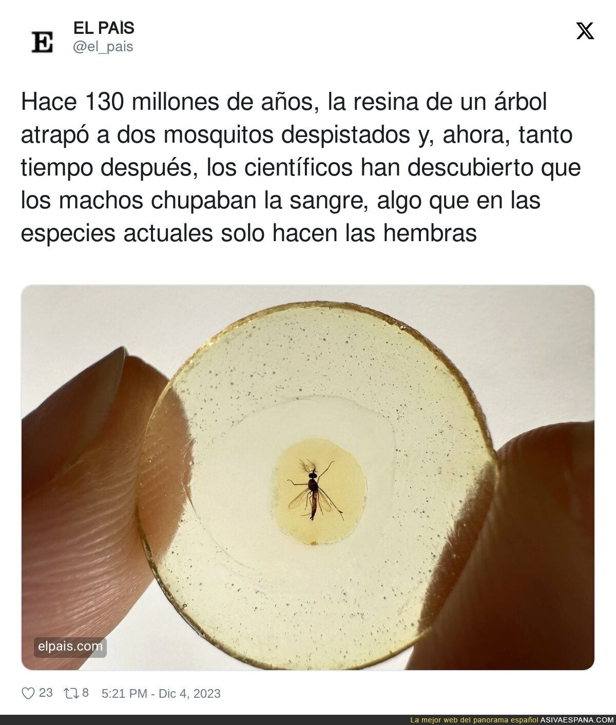 Así ha evolucionado todo desde entonces