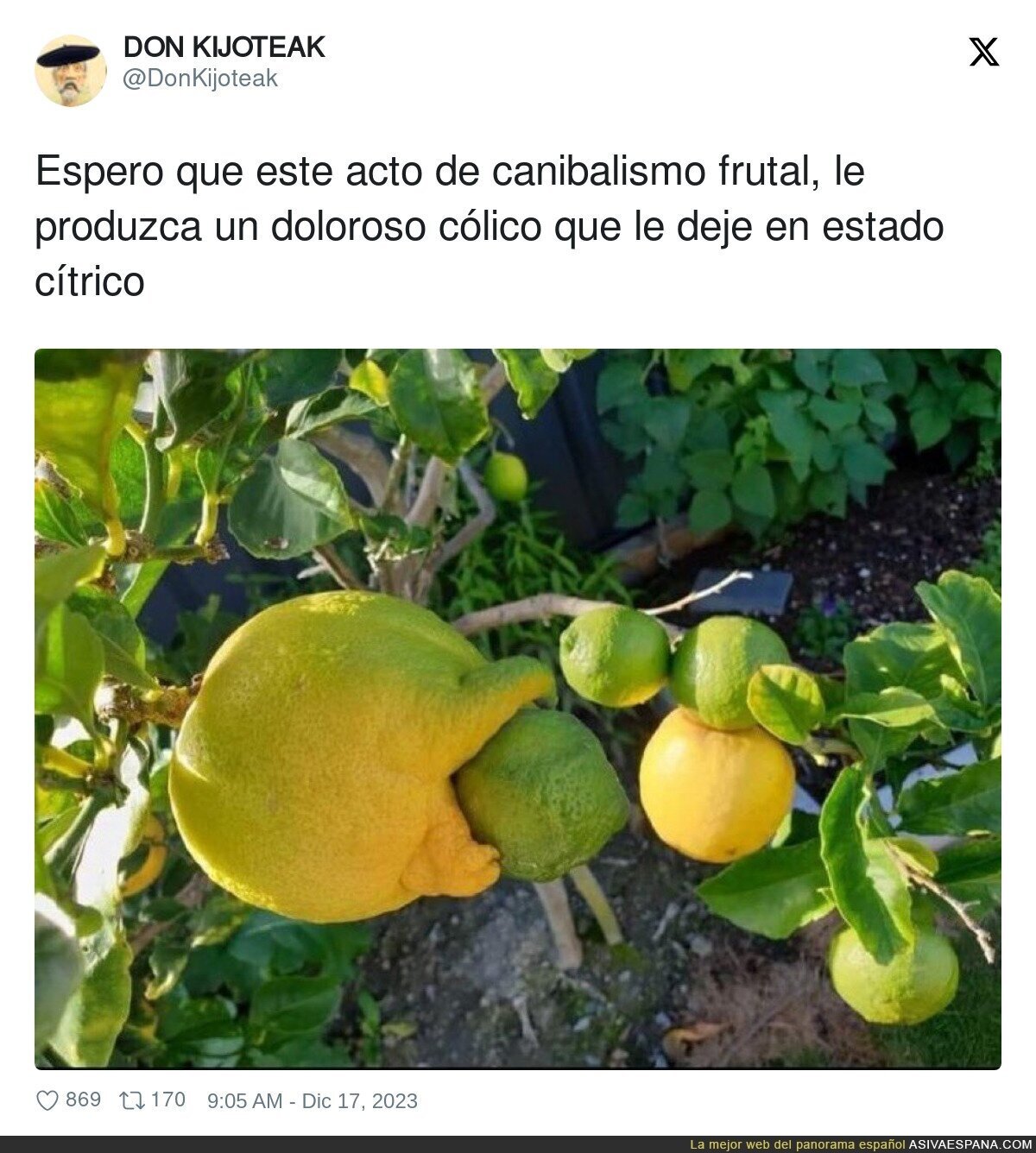 Las maravillas de la naturaleza