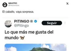 Pitingo sorprende al mundo