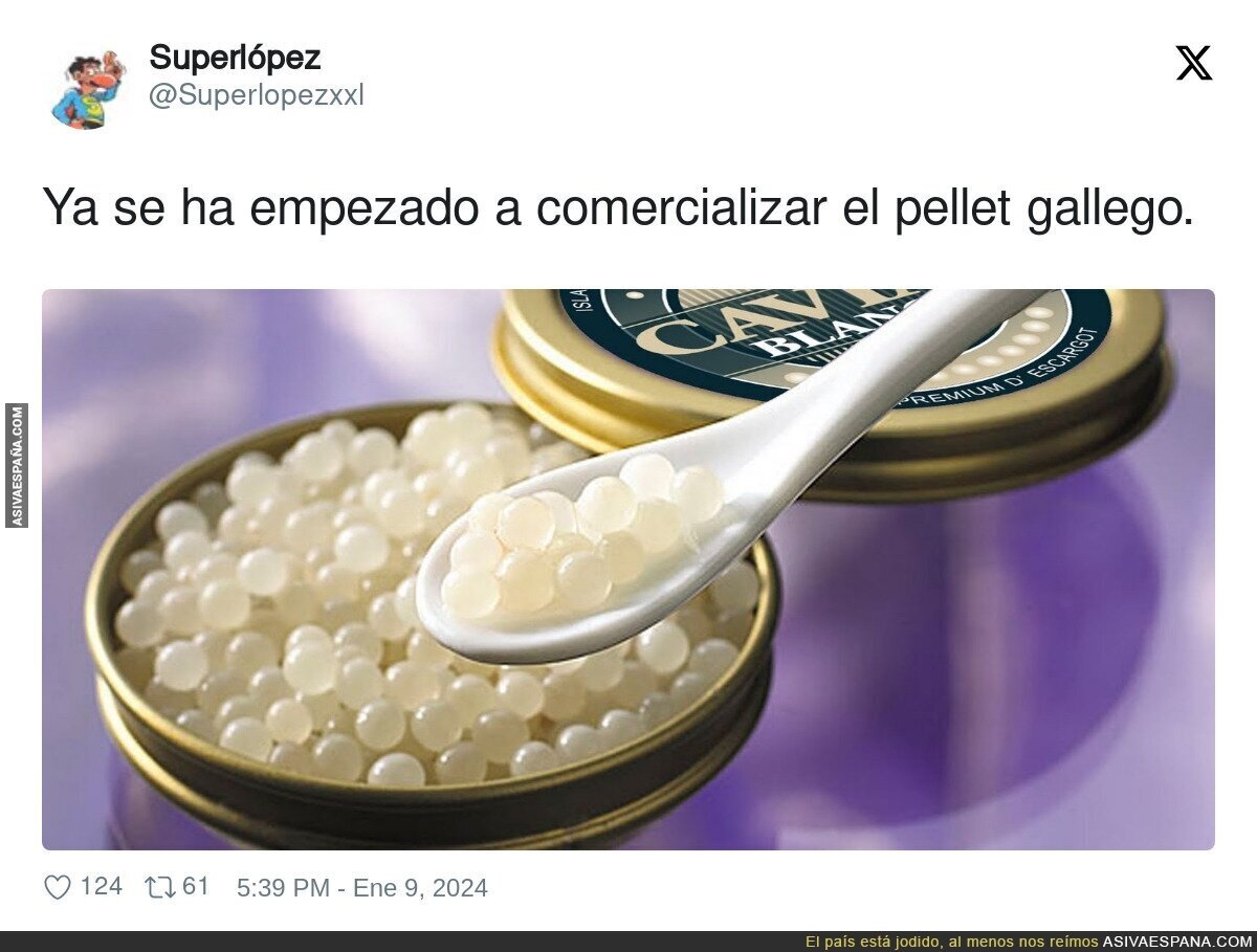 Un gran manjar gallego