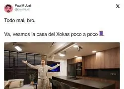 Todo mal, bro.

Va, veamos la casa del Xokas poco a poco ?, por @paumjust