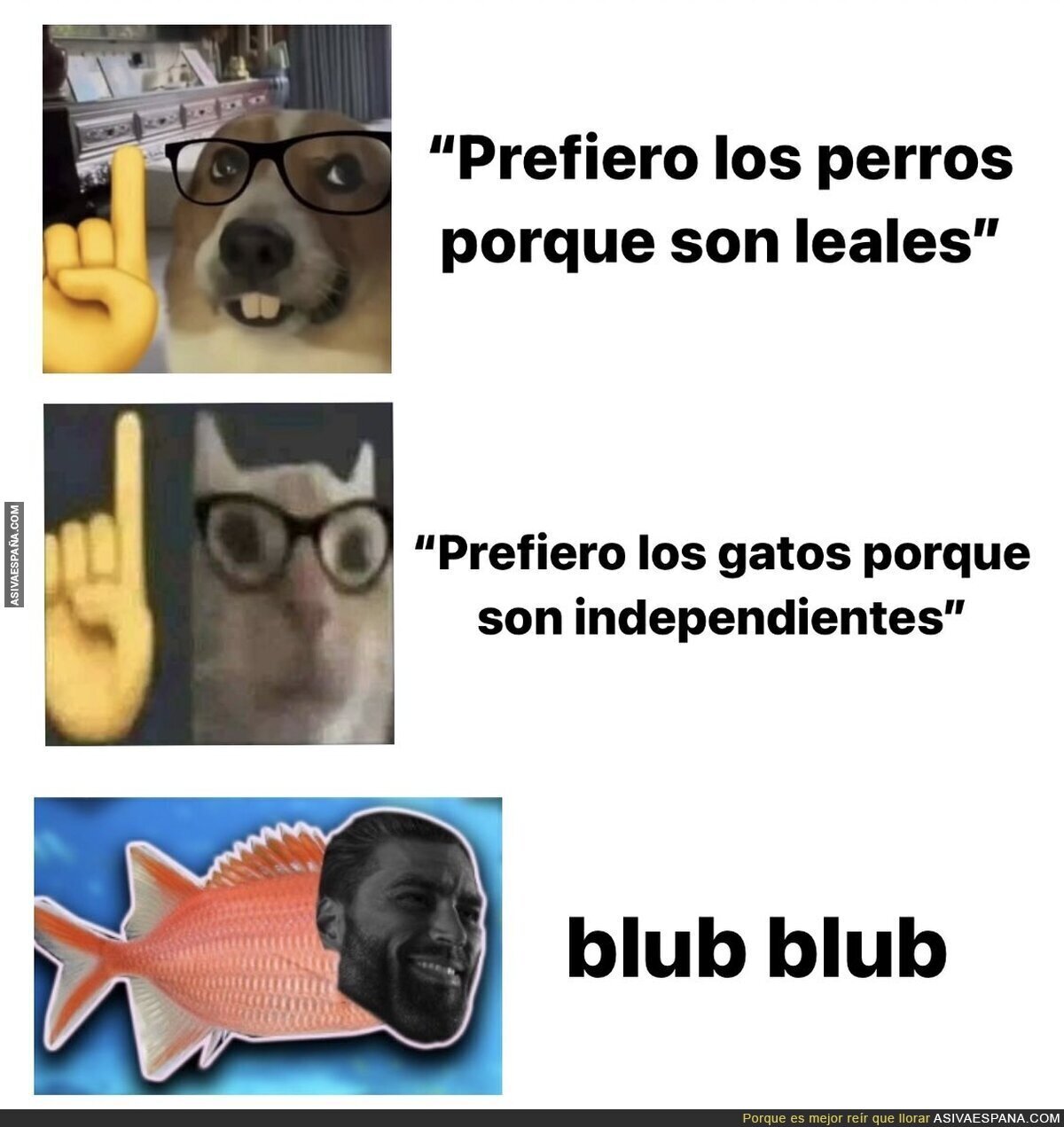 El animal perfecto para tener