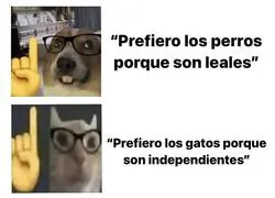 El animal perfecto para tener