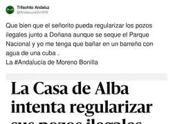 La Casa de Alba tiene vía libre para todo